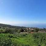 Alma