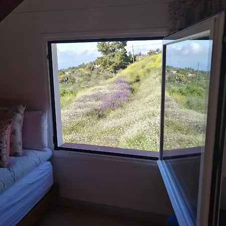 度假居 Alma Garafía