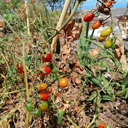Сasa de vacaciones Alma